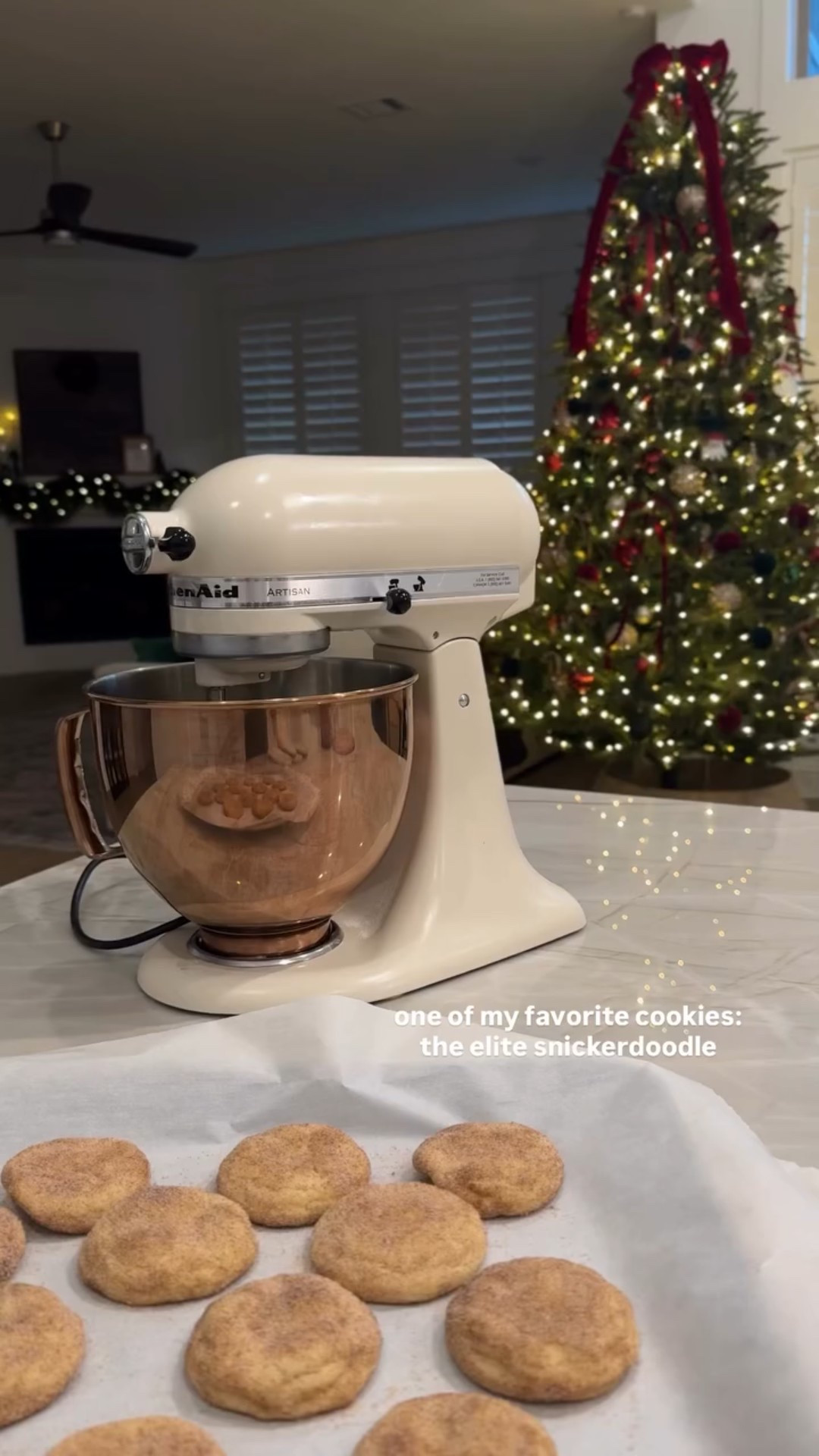 the elite snickerdoodle!! Recipe below: 

Snickerdoodles: 
2 sticks unsalted butter
11/3 cups granulated sugar
1/3 cup brown sugar
2 eggs
2 tsp vanilla
3 1/4 cups all purpose flour
1 tsp baking soda
3/4 tsp salt
11/2 tsp cream of tartar
Cinnamon and sugar mixture for rolling (I eyeball this) 

cream softened butter, brown sugar, and sugar (about 3 minutes of mixing). Add in eggs and vanilla and mix to combine. Combine all other dry ingredients in a bowl (flour, baking soda, cream of tartar, and salt) and start slowly mixing in to the wet ingredients. Once everything is well combined, scoop them and roll into cinnamon sugar mixture. Put in 350 degree oven for 9-11 minutes. I like to dip them again lightly in the cinnamon sugar mixture once cooled but still warm. 

** makes about 30 cookies, half the recipe if you need 12-15 :)