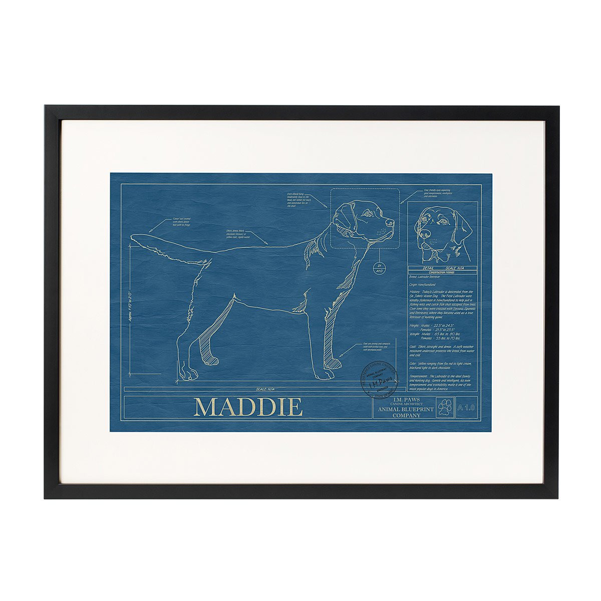 Personalized Dog Blueprints | UncommonGoods