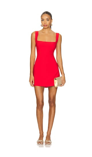 Aneira Mini Dress in Red | Revolve Clothing (Global)