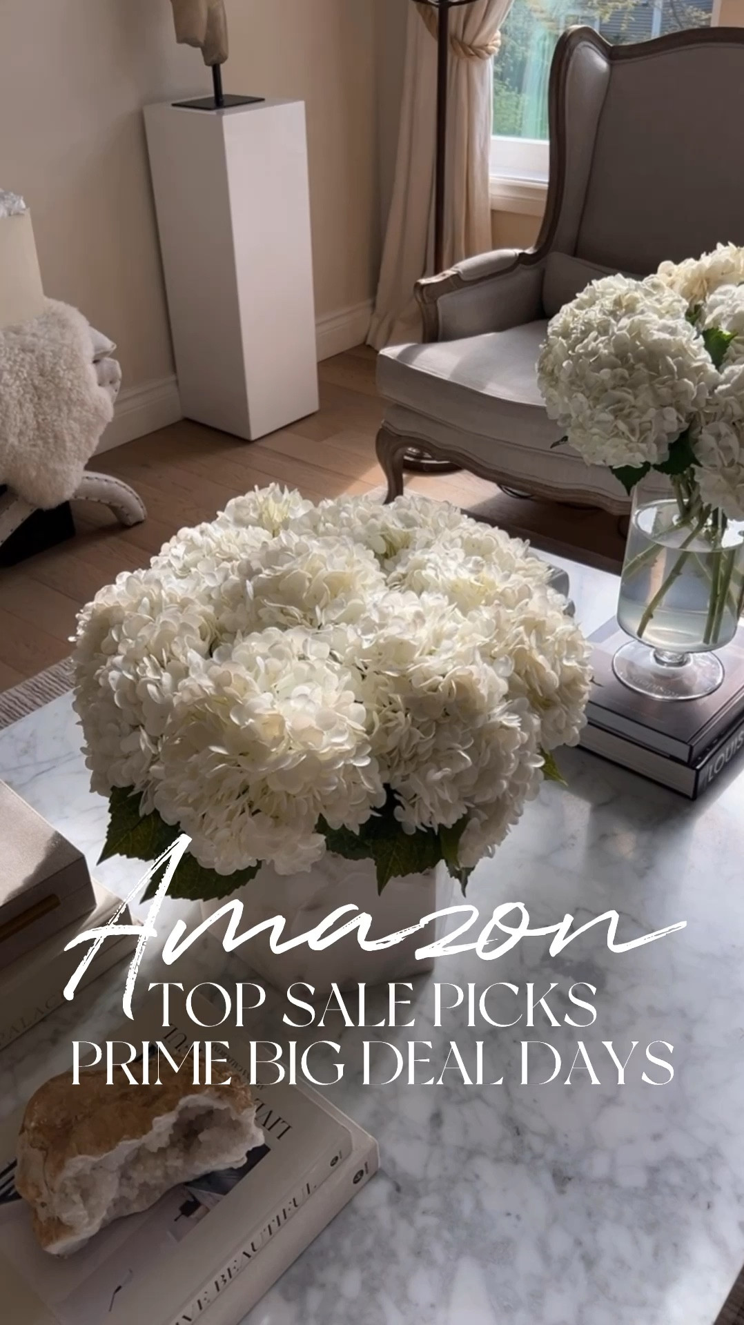 Amazon Prime Big Deal Days top picks
Faux hydrangeas
Samsung Frame TV
Antelope area rug 
Glass coffee mugs
Ninja creami 
Our place pans 
Little green machine



#LTKHome #LTKSaleAlert #LTKxPrimeDay