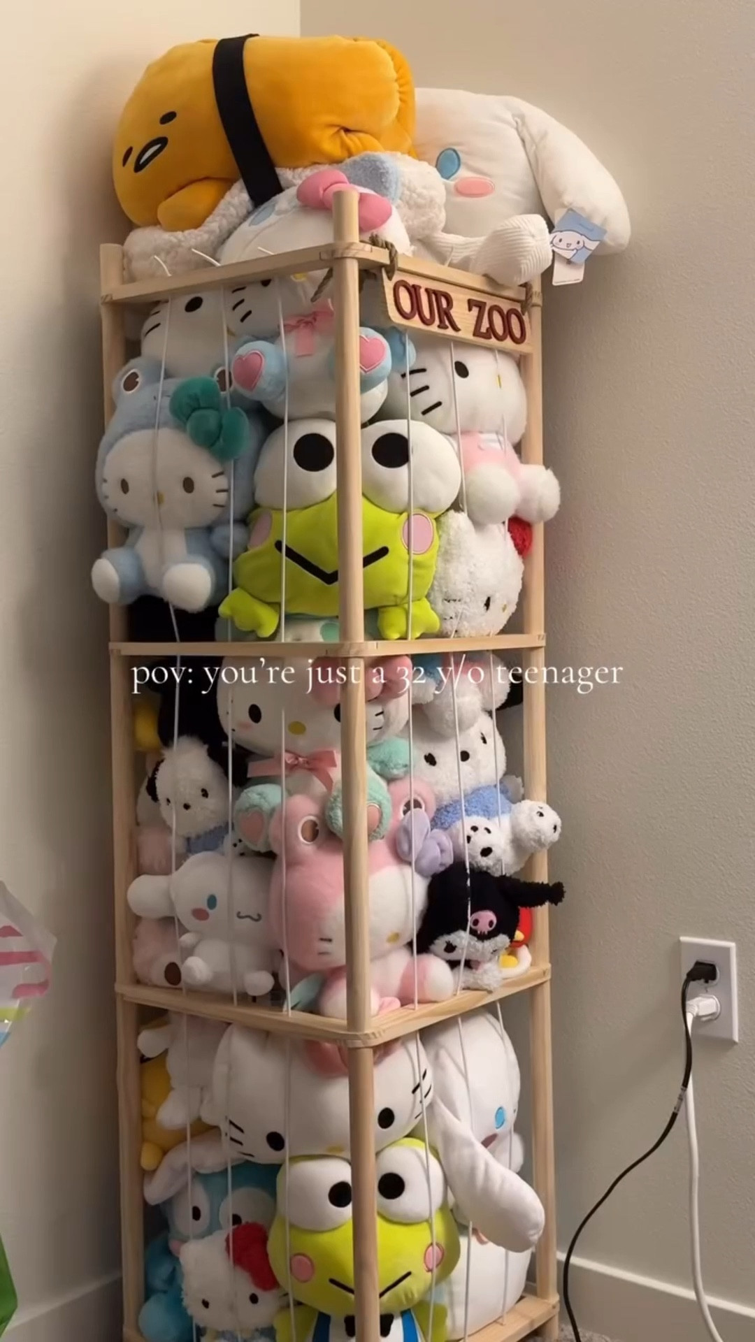 Finally organized my Sanrio plushies that have been locked in my closet. Almost all of these were won at @round1usa 🕹️

I’m going to need to order more of these organizers to fit the rest lol.



#plushies #plush #plushiesoftiktok #organizer #organizewithme