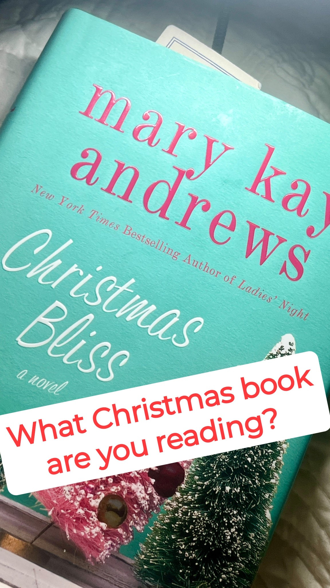 Curling up with a Christmas book is one of my favorite little joys this time of year, and Christmas Bliss by Mary Kay Andrews is already giving me all the cozy, Southern holiday vibes. 🎄💗

I’m making my way through it now and loving the charm, the humor, and of course… the festive drama. The perfect December read!

What Christmas book are YOU reading right now? I always love hearing your favorites — drop them in the comments so I can add to my stack! 📚✨

Tap to shop this book + a few more holiday reads.#ChristmasReads #CozyBookSeason #HolidayBooks #MaryKayAndrews

#LTKstorytime #LTKselfcare #LTKHoliday