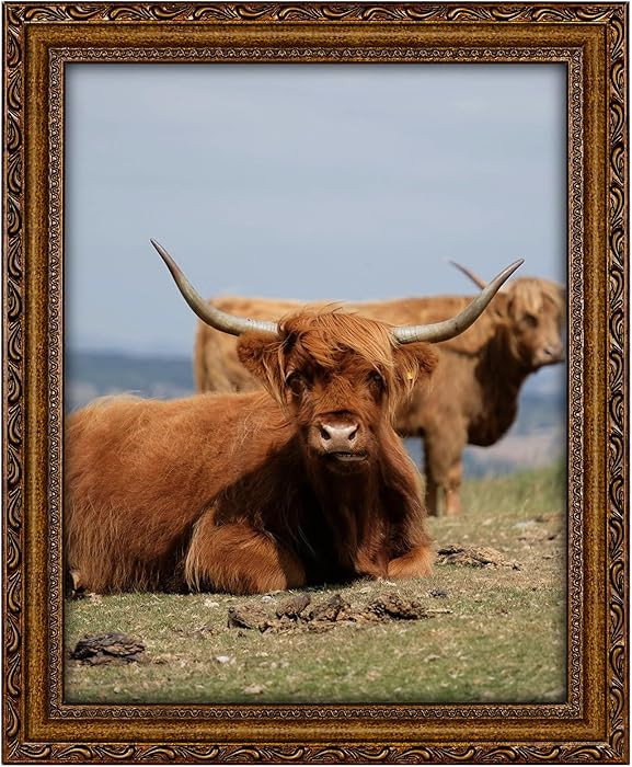 Gold 11x14 Picture Frame with Mat, Vintage Wood Photo Frame for Real Glass, Matted 8x10 or 11 x 1... | Amazon (US)