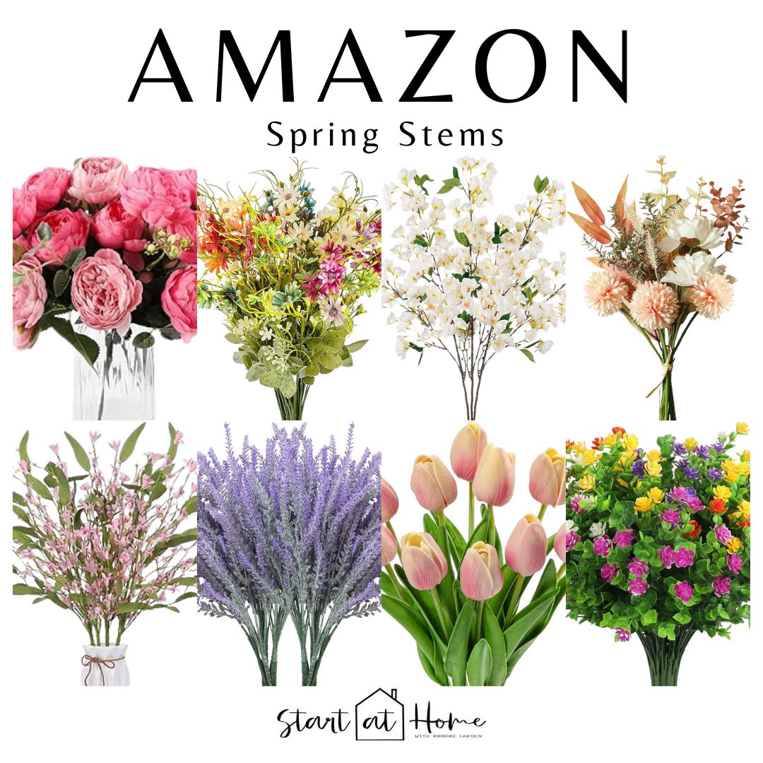Spring Stems | Amazon (US)