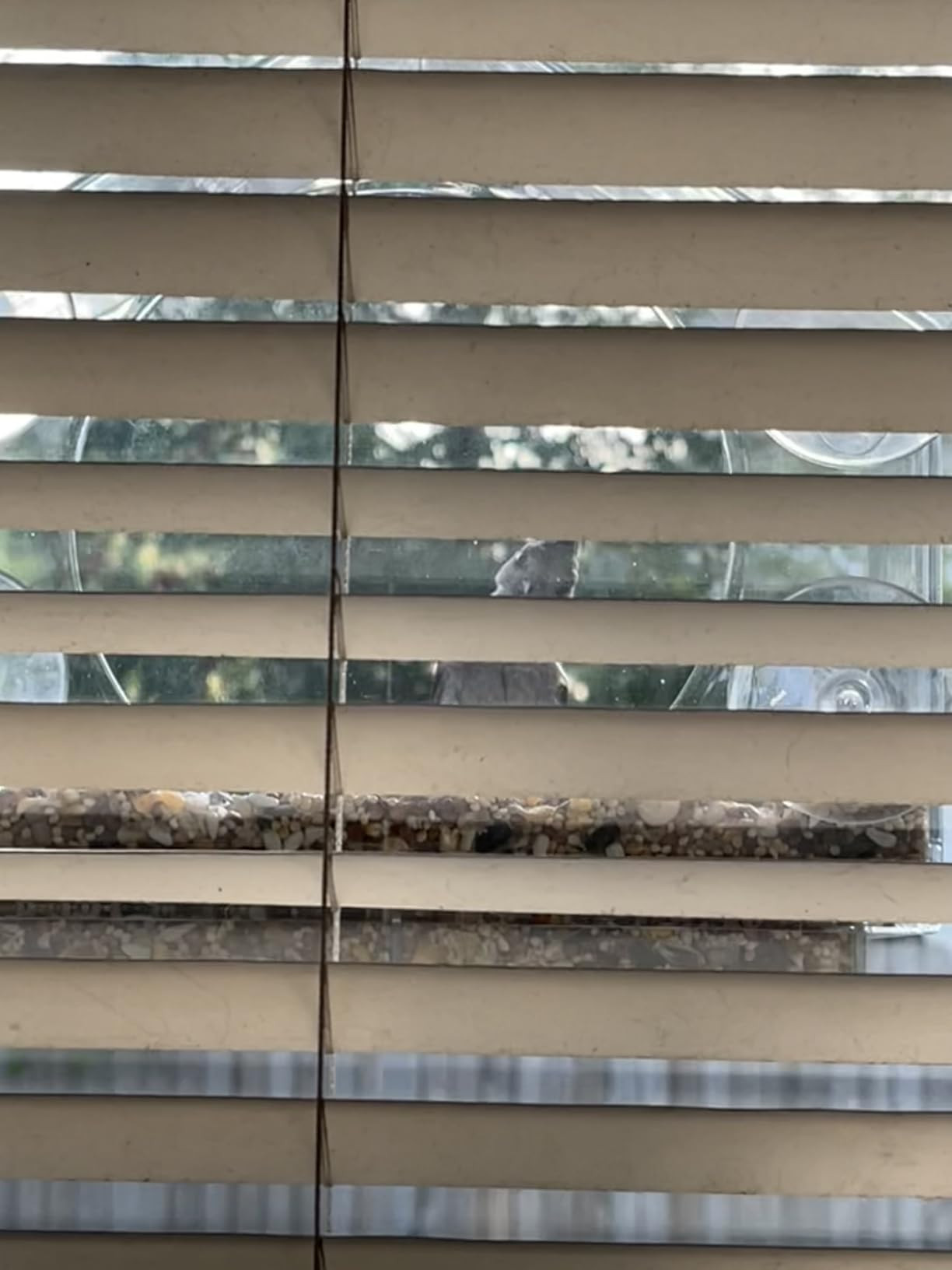 Nature Anywhere Transparent Acrylic Window Bird Feeders for Outdoors - Enhanced Suction Grip, Bir... | Amazon (US)