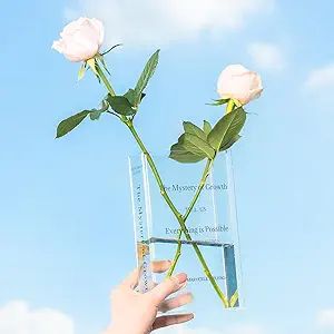 Marycele Acrylic Book Vase, Flower Vase for Room Decor Aesthetic, Unique Vases Gifts for Women, F... | Amazon (US)