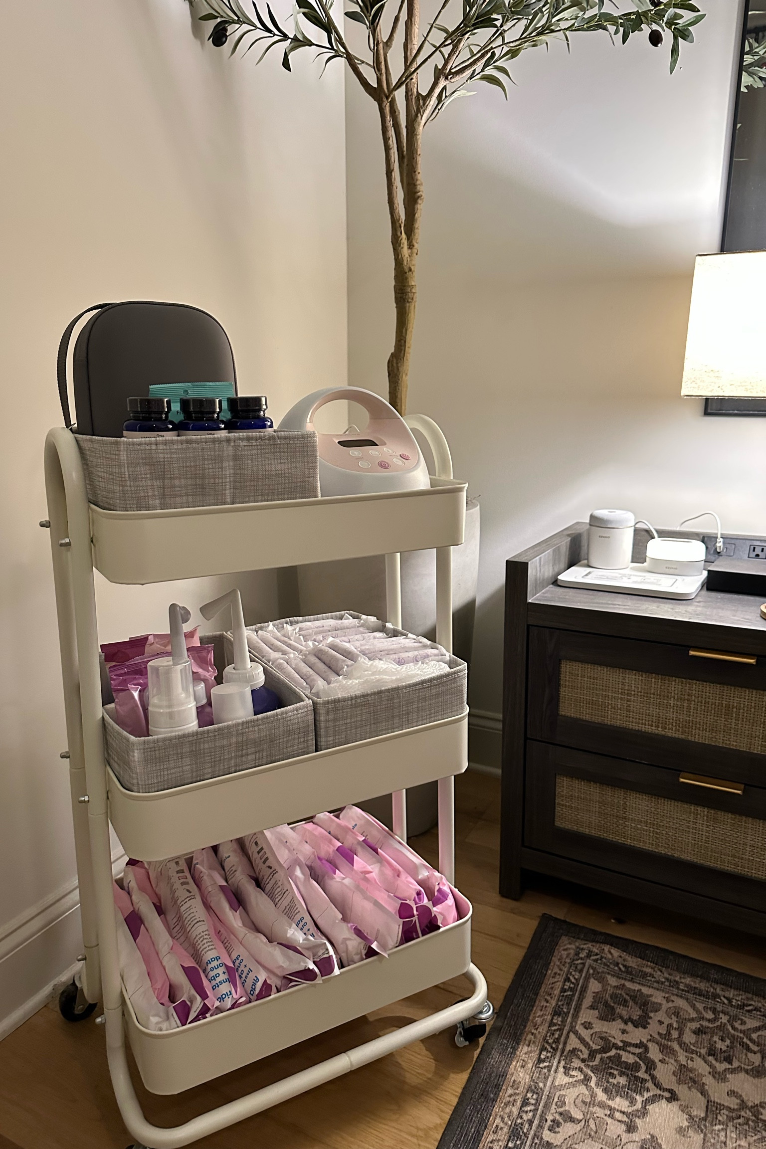 Postpartum cart essentials! 

TheJalesaNicole, Tucks pads, maxi pads, maternity care, peri bottle, nursing cups, Legendary Milk Supplements, Willow hands free pump, Spectra Pump, disposable underwear, postpartum healing

#LTKBump #LTKFamily #LTKBaby