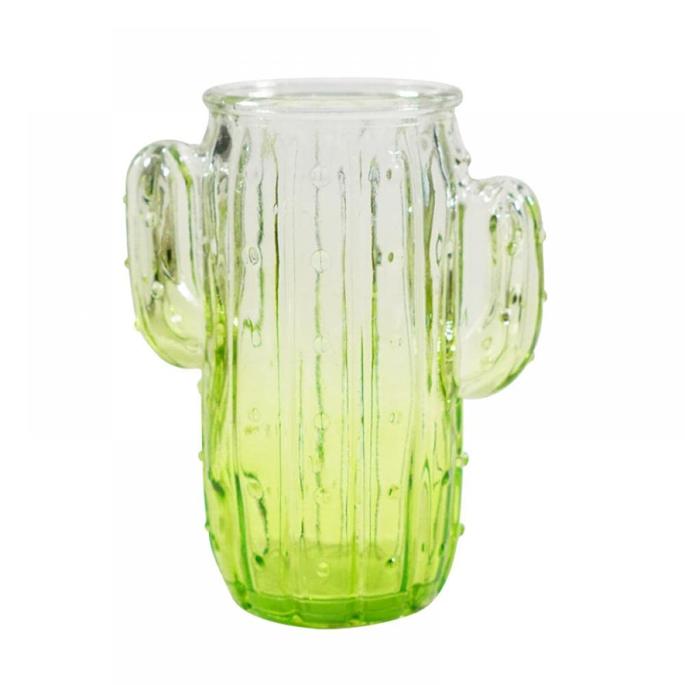 123Arts Glass Vase Cactus Shape Vase Table Decoration Ornament | Amazon (US)