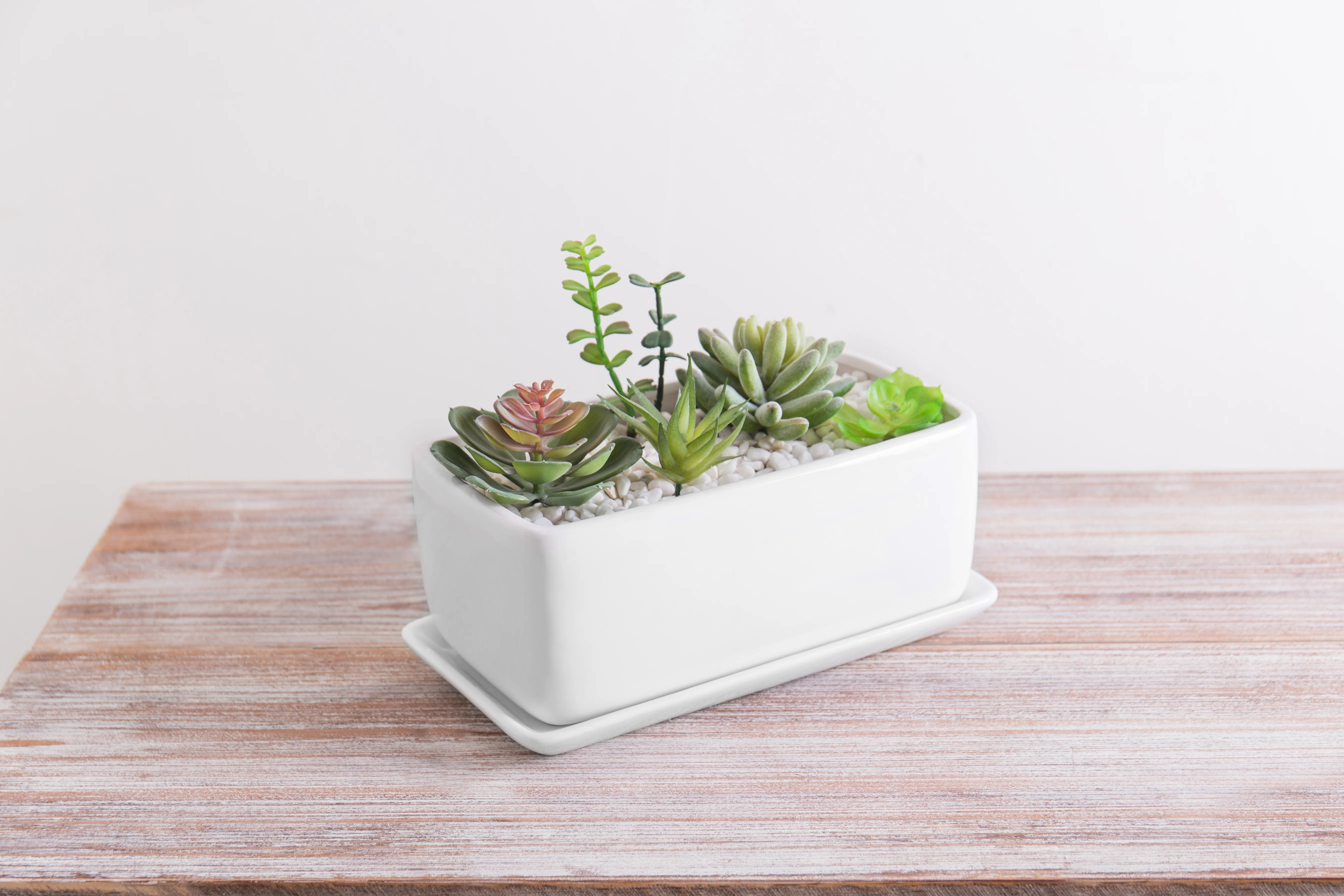 Anielle Rectangular Ceramic Pot Planter | Wayfair North America