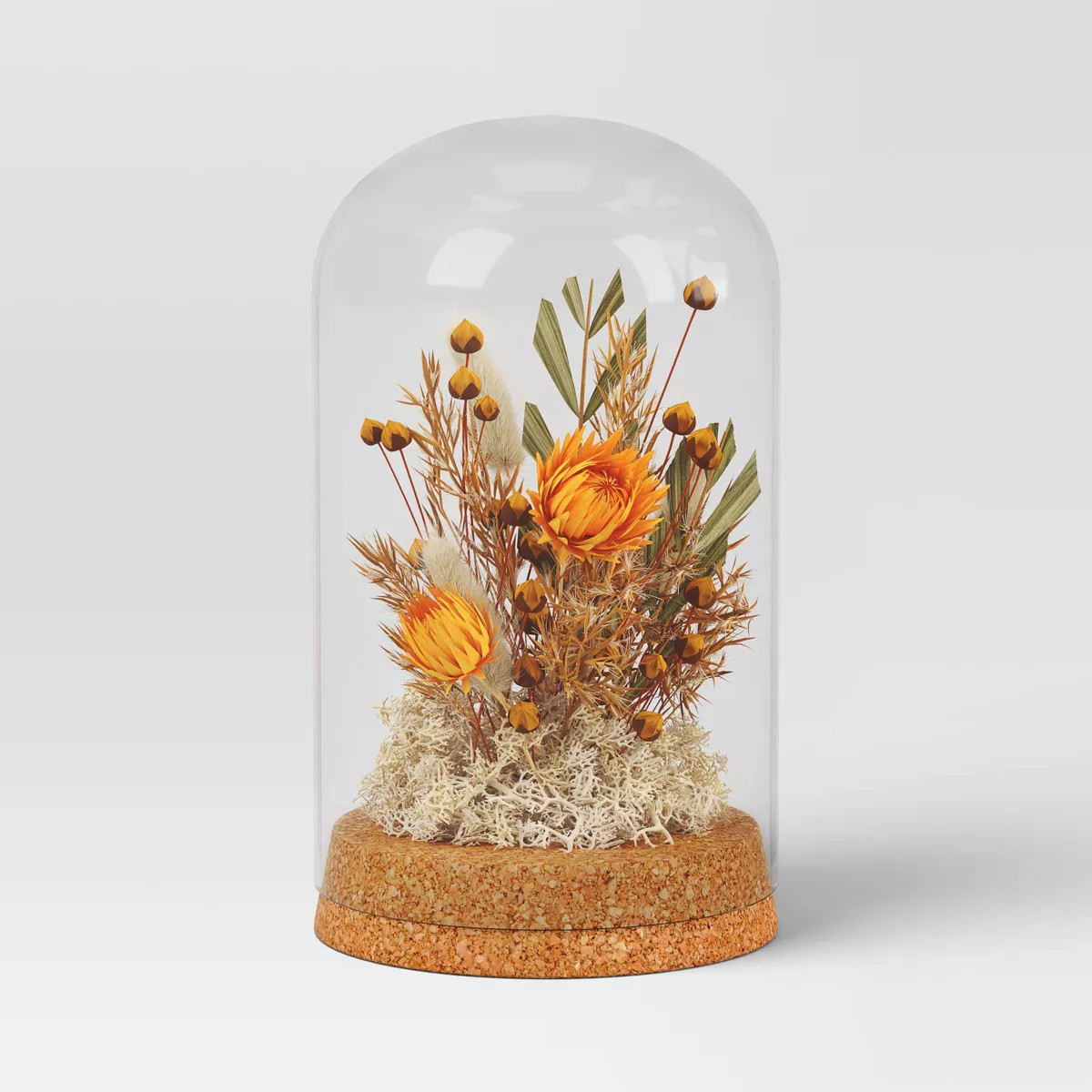 Small Preserved Cloche - Threshold™ | Target
