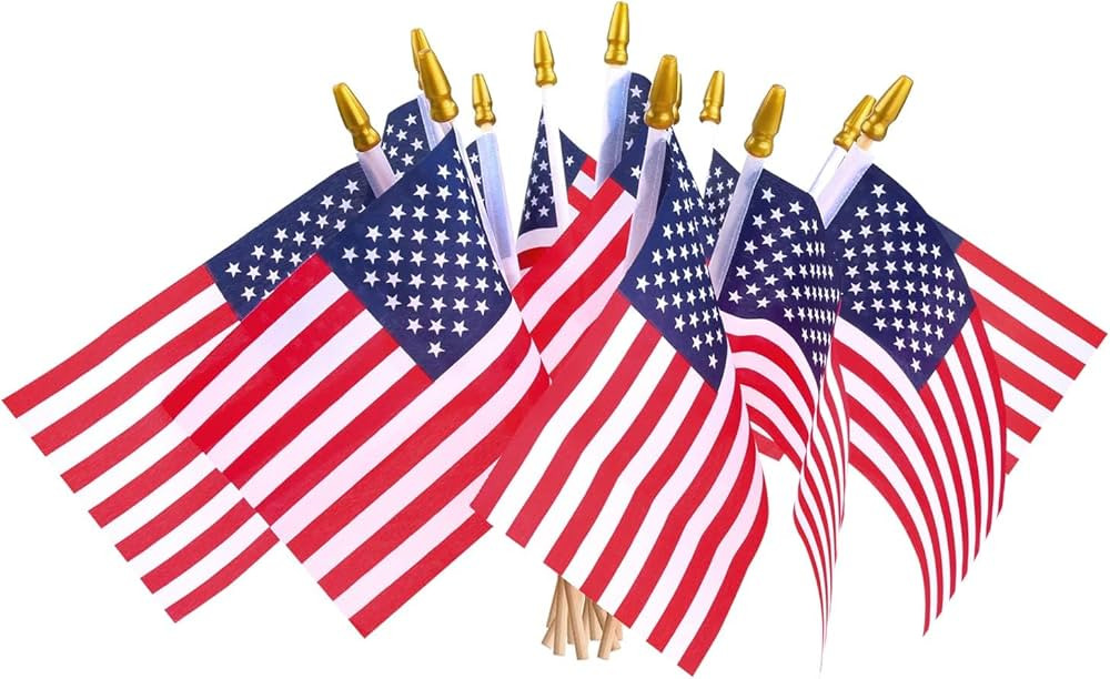 12 Pcs Small American Flags On Stick,Patriotic Decorations Small USA Flags On Stick，Mini Americ... | Amazon (US)