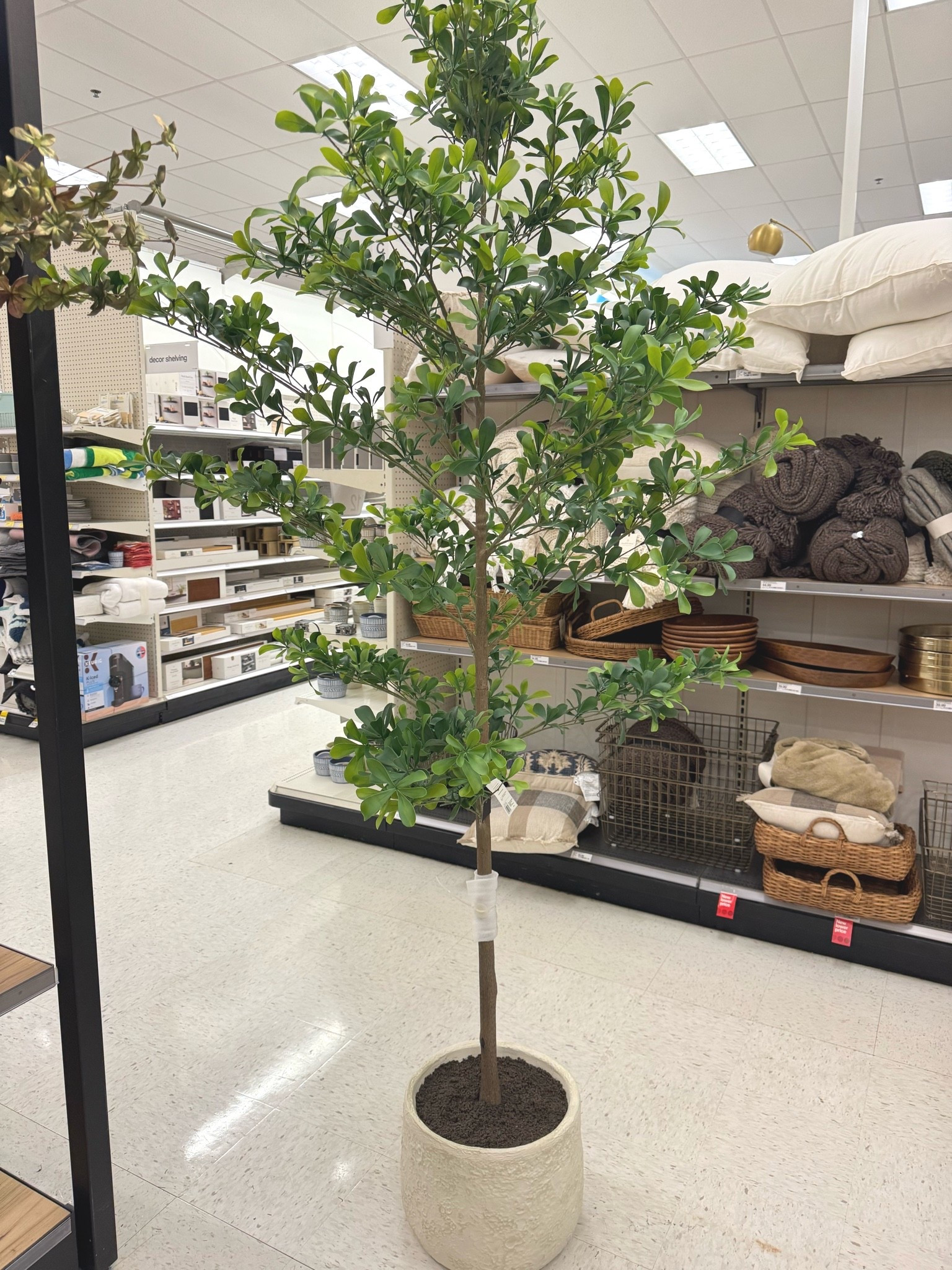 If you’re looking for a great faux tree that’s large and will fill out a space, this one is gorgeous!! 

Home decor, tree, living room decor

#LTKHome