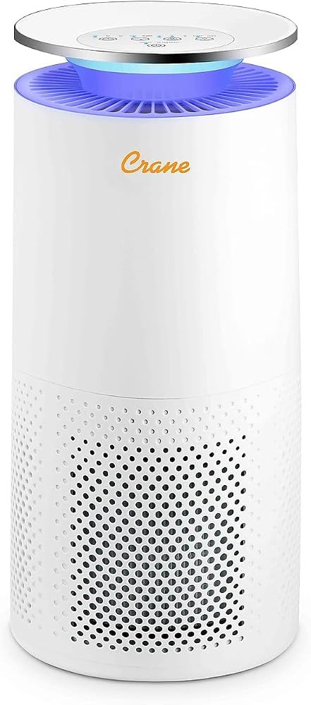 Crane Air Purifier with True HEPA Filter, 500 Sq Feet Coverage, Timer Function, Sleep Mode, Built... | Amazon (US)