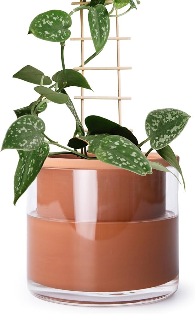 Phoenix Vine 6 Inch Self Watering Plants Pot, Design Terracotta Pot for Plants, Indoor Cylinder T... | Amazon (US)