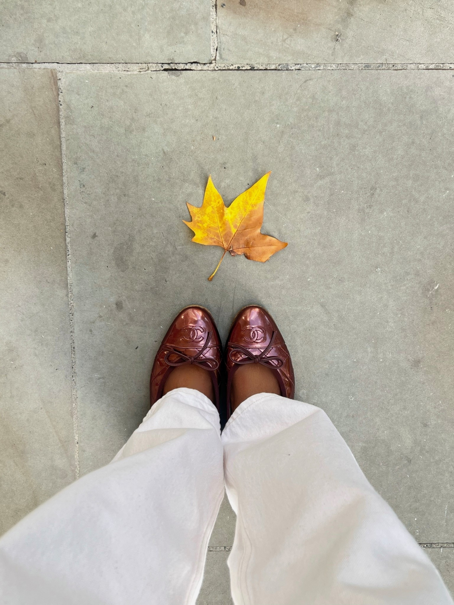 Autumn shoes  | Brown ballet flats | Burgundy Ballet flats 

#LTKshoes