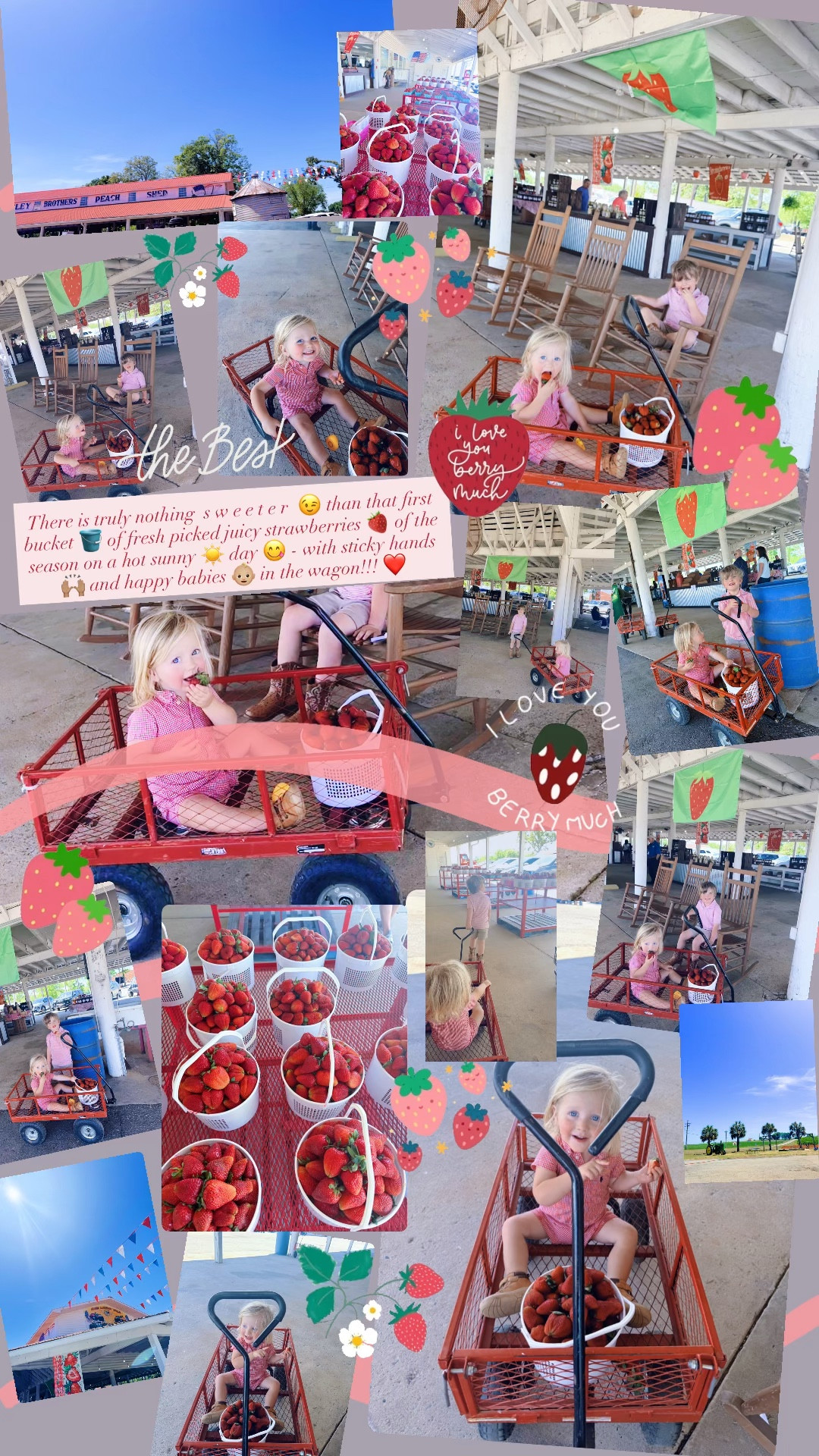 There is truly nothing  s w e e t e r  😉 than that first bucket 🪣 of fresh picked juicy strawberries 🍓 of the season on a hot sunny ☀️ day 😋 - with sticky hands 🙌🏽 and happy babies 👶🏼 in the wagon!!! ❤️

#LTKmomlife #LTKKids #LTKBaby