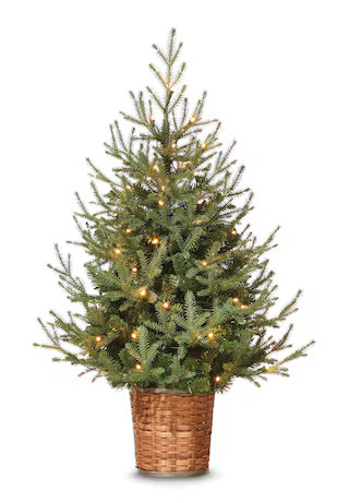 CANVAS Pre-Lit Indoor Upswept Spruce Potted Christmas Tree, 70 LED Lights, 4-ft | Canadian Tire