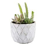 5.9 x 7.9 Inch Faux Succulent Arrangement, 1 Realistic Artificial Succulent - In Concrete Planter, U | Amazon (US)