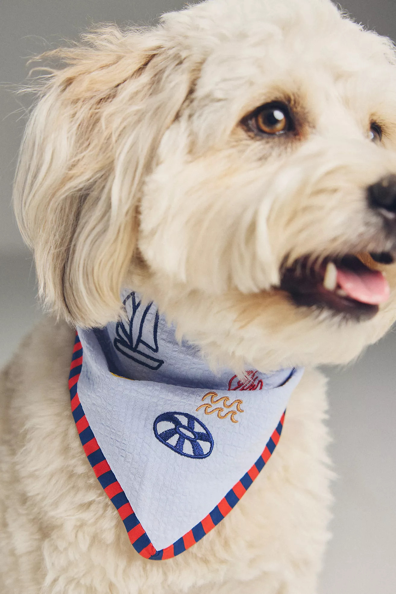 By Anthropologie Icon Pet Bandana | Anthropologie (US)