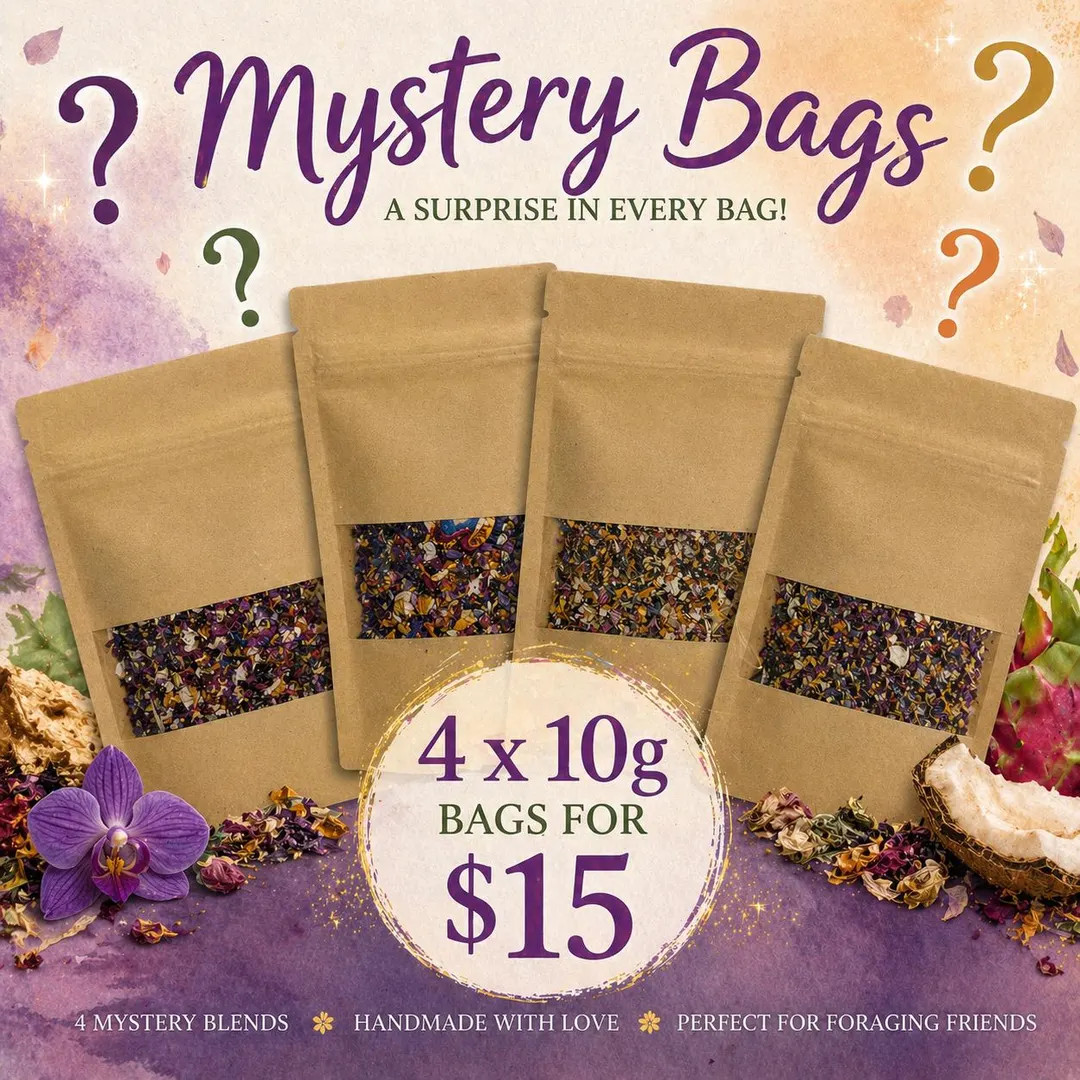 4x Mystery Pack - 4 Complete Hermit Crab Food Blends, Randomly Chosen - Etsy | Etsy (Global)