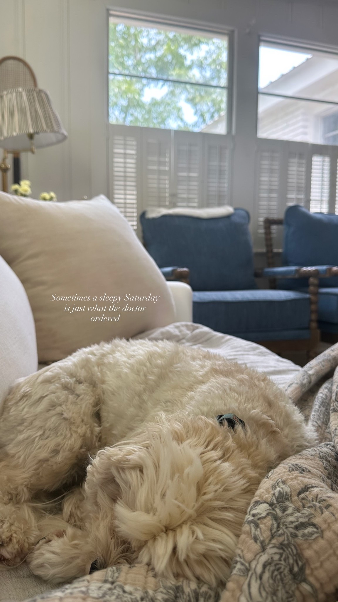 Sometimes a sleepy Saturday is just what the doctor ordered
@Wayfair 
@Target 
@Scout & Nimble

#LTKdayinmylife #LTKHome #LTKselfcare