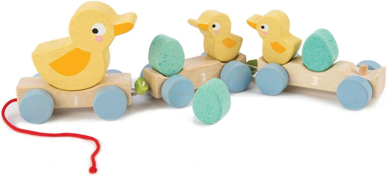 Classic Wooden Pull Along Toy - 9pc Duck Family Set : 1 Mother Duck, 2 Baby Ducks , 3 Eggs and 3 ... | Amazon (US)