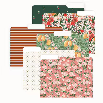 Blue Sky Bespoke File Folder, | Staples