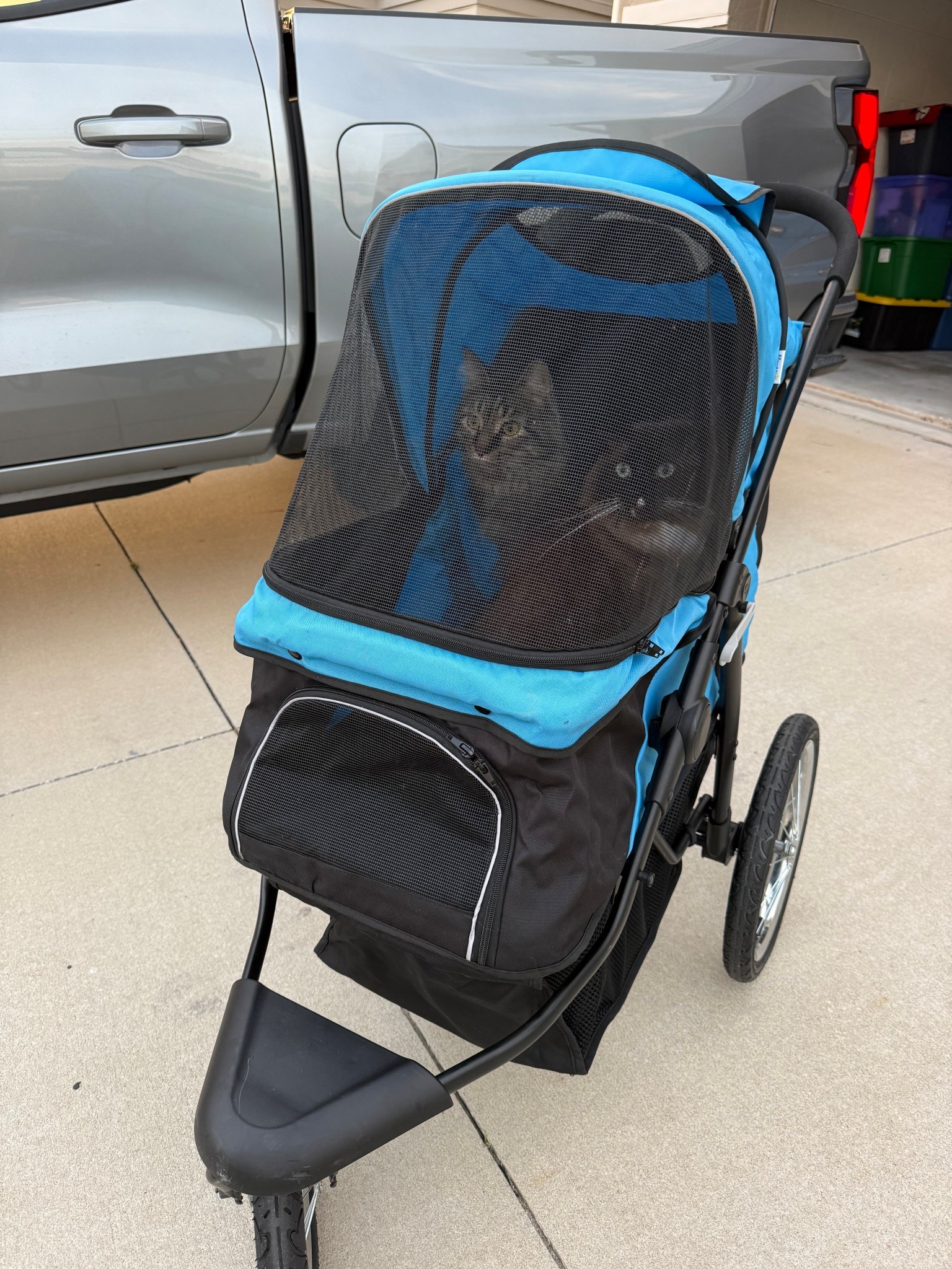 If you’re a cat owner this cat stroller is the perfect way for your kitties to get some fresh air. I love pushing them around in this #cats #catstroller 