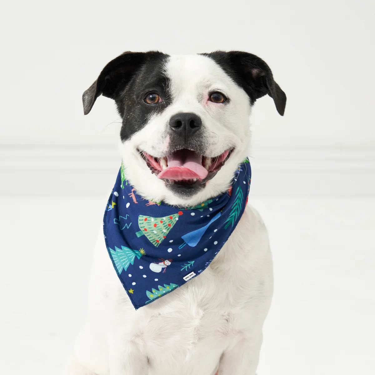 Sleep | Little Sleepies