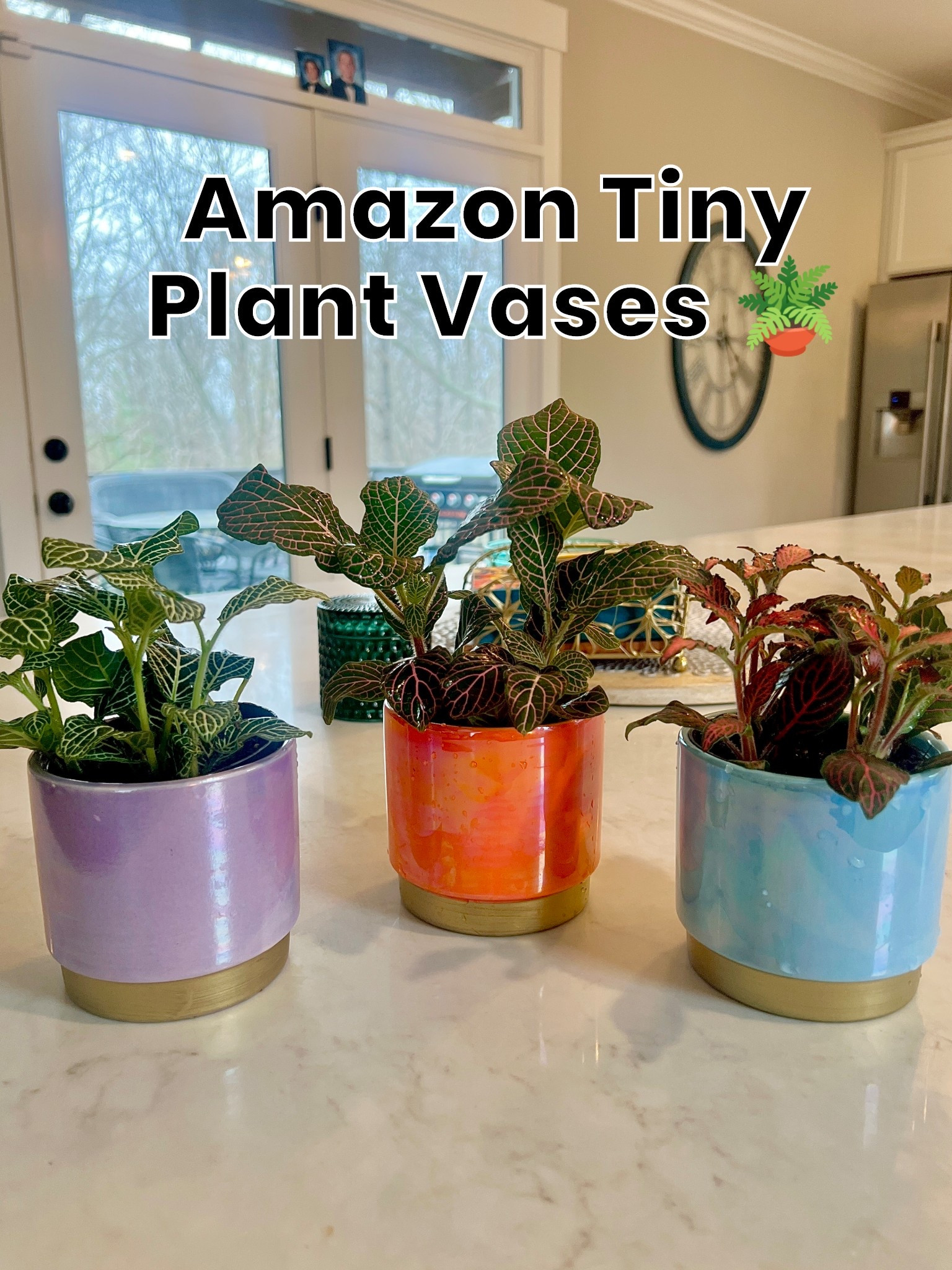 🪴 How adorable are these tiny planters for my tiny plants?! Came in a pack of 4 but my daughter stole the white one! #amazonfind 

#LTKSeasonal #LTKHome #LTKOver40