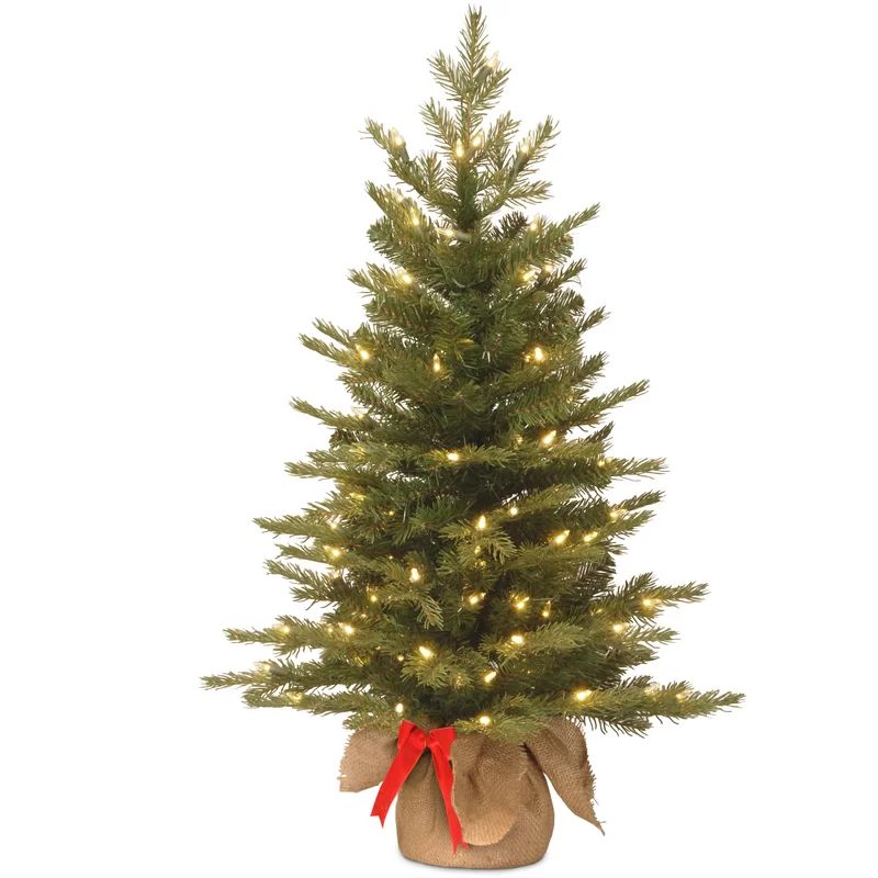 Nordic Spruce 3' Green Artificial Christmas Tree with 50 Clear/White Lights | Wayfair North America