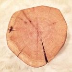 Natural Tree Stump Side Table | west elm