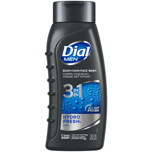 Dial Body Wash, Hydro Fresh - 16 fl oz | Instacart