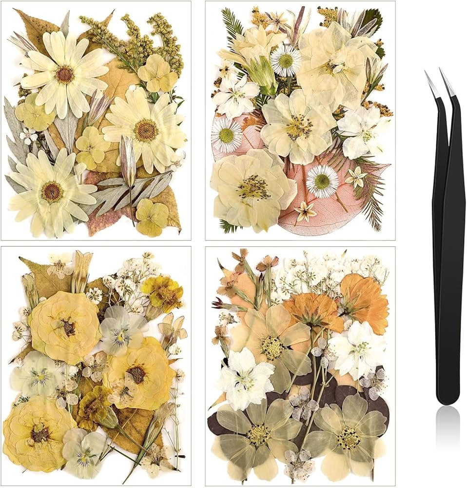 Nuanchu Pressed Flowers Bulk Dried Flower for Crafts, Dried Flower Leave Natural with Tweezer for... | Amazon (US)