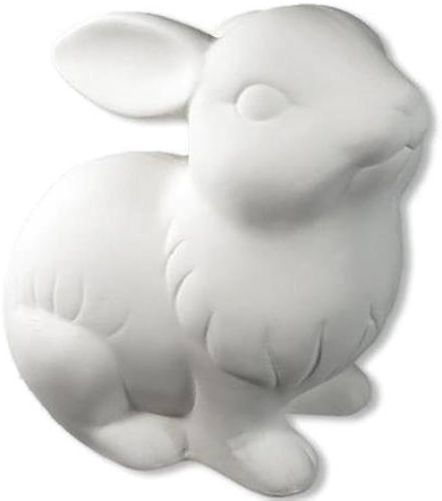 Bunny Rabbit - Paint Your Own Ceramic Keepsake | Amazon (US)