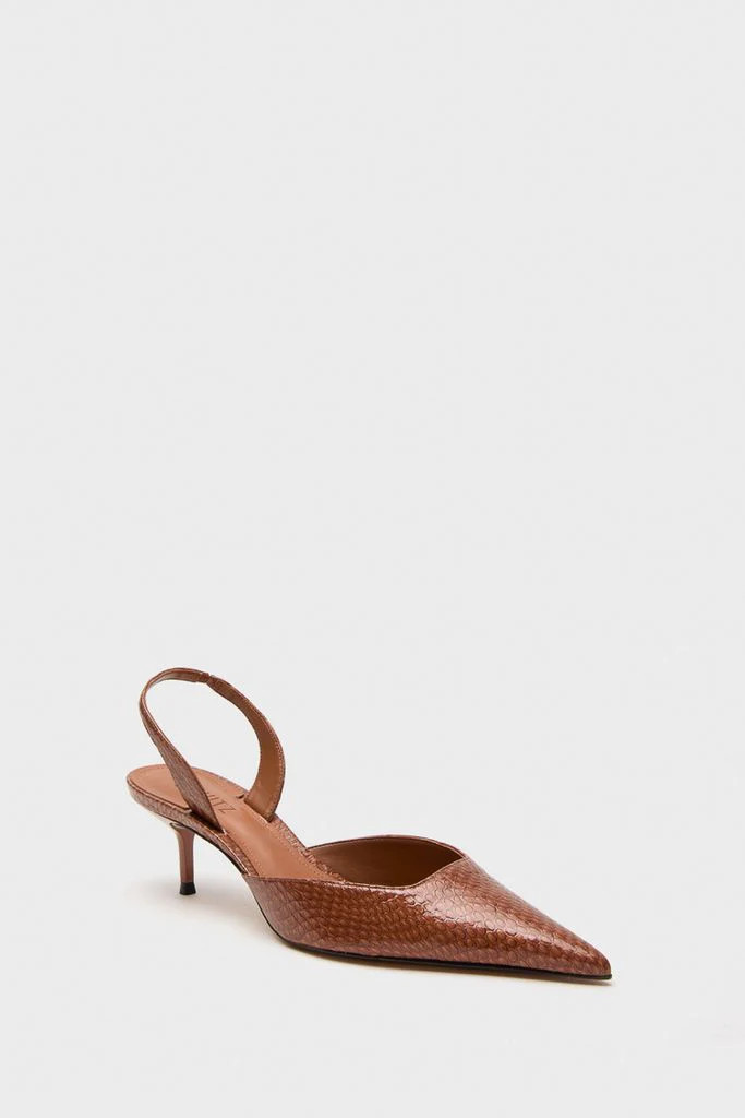 Schutz | Tuckernuck (US)