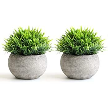 THE BLOOM TIMES 2 Pcs Fake Plants for Bathroom/Home Office Decor, Small Artificial Faux Greenery ... | Amazon (US)