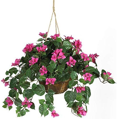 Nearly Natural 6608 24in. Bougainvillea Hanging Basket Silk Plant,Beauty,10.25" x 10.25" x 17.5" | Amazon (US)
