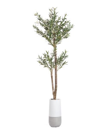 6ft Olive Tree | TJ Maxx