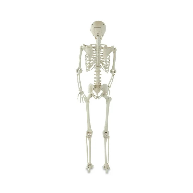 Halloween Plastic Posable Skeleton with Light-Up Eyes Decoration, Bone Color, 60 in, 3.5 lbs, by ... | Walmart (US)