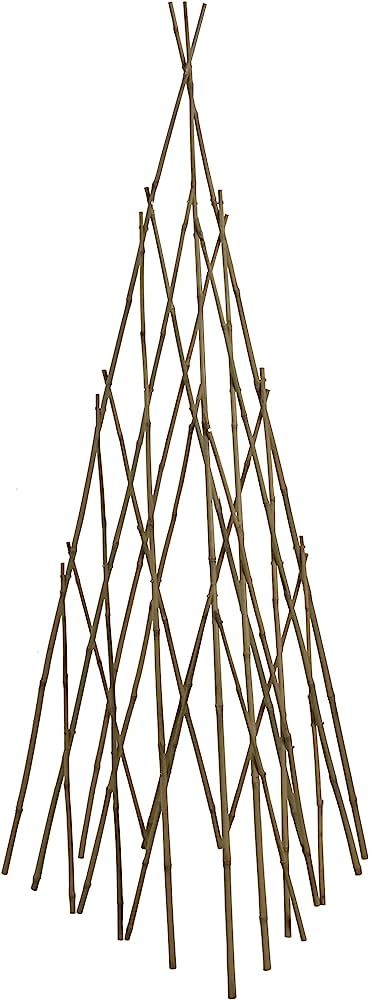 Bond Manufacturing TP60 60in Bamboo Teepee Trellis, Natural | Amazon (US)