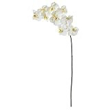 Nearly Natural 44in. Phalaenopsis Orchid Artificial (Set of 6) Silk Flowers, 44 in, White | Amazon (US)