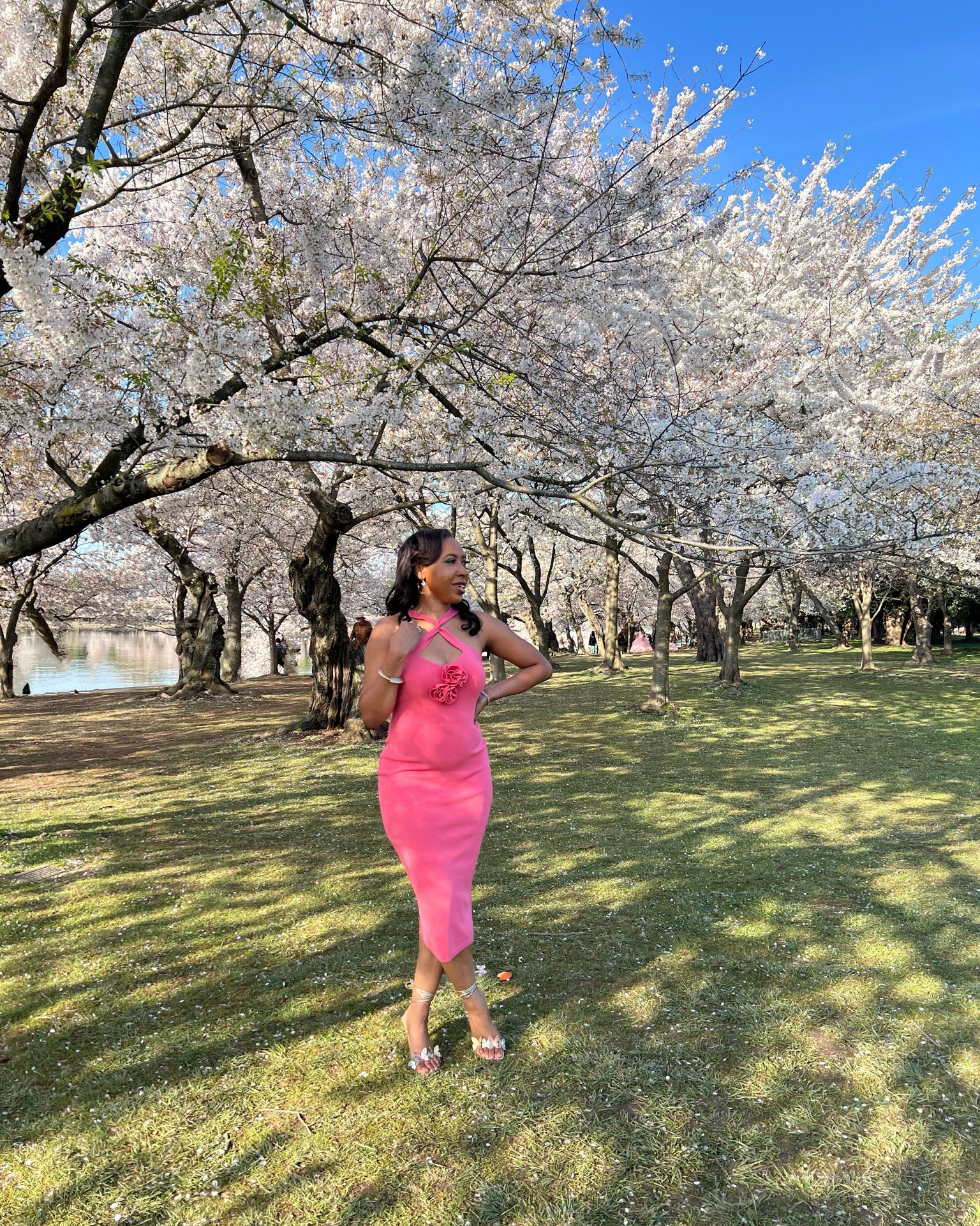 Pretty petals and pastel vibes at the tidal basin - feeling like a cherry blossom princess 💕 

#ExpressFashionFind #SpringOutfit #SummerOutfit #PrettyInPink

#LTKsalealert #LTKfindsunder100 #LTKover40