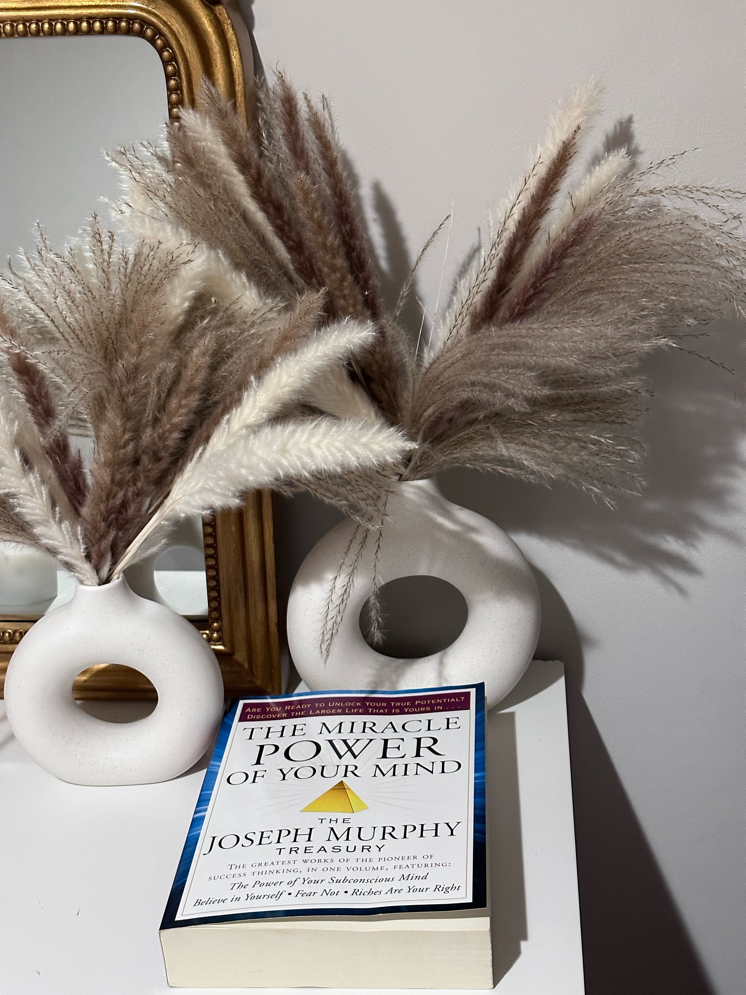 Manifest 
#manifestation #books 

#LTKBacktoSchool #LTKunder50 #LTKunder100