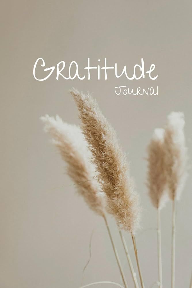 Gratitude Journal: Cultivate Joy, Appreciation, and Inner Peace with Daily Reflections and Prompt... | Amazon (US)