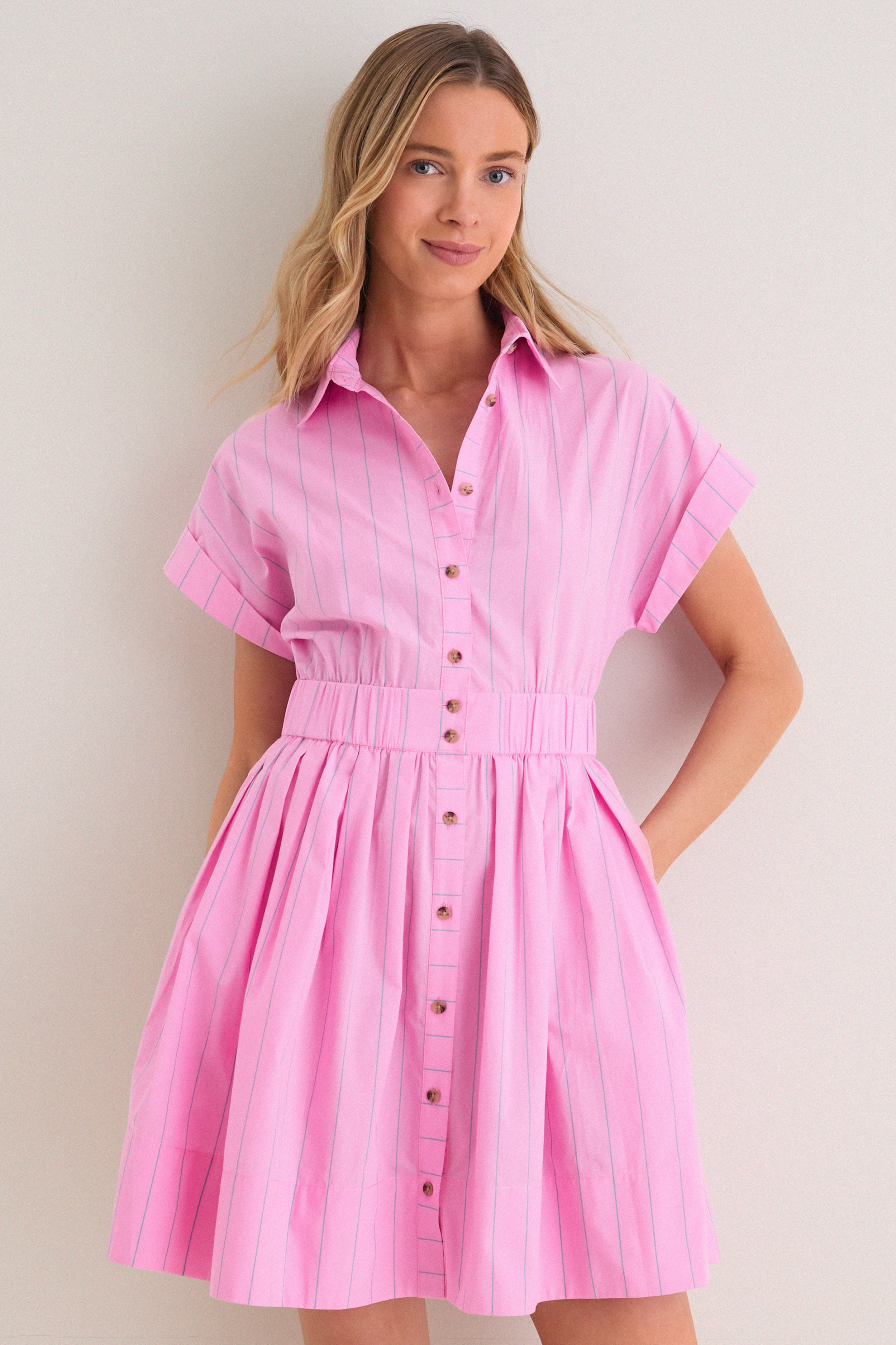 Watermelon Stripe Howard Dress | Tuckernuck (US)