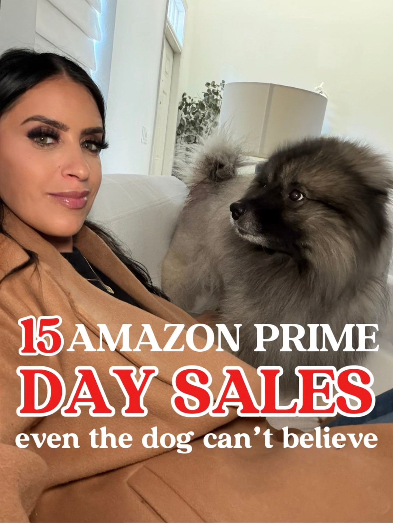 15 Amazon prime day sales even the dog can’t believe 