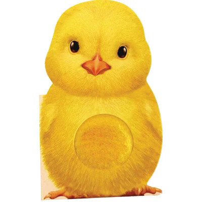Furry Chick - (Mini Friends Touch & Feel Books) by Annie Auerbach (Board Book) | Target