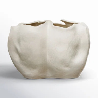 Dannolfo Decorative Organically Shaped Stoneware Planter | Wayfair North America