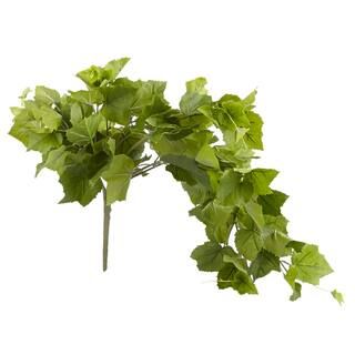 Green Hanging Grape Leaf Bush by Ashland® | Michaels Stores